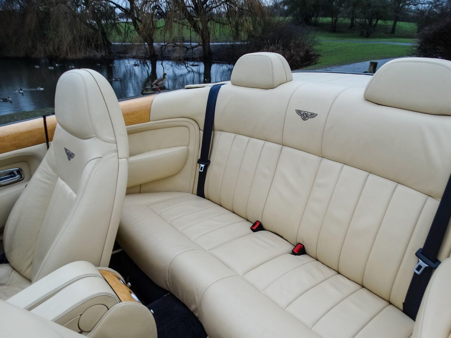Used Bentley Azure 2009 for sale - 78034566: Photo 12