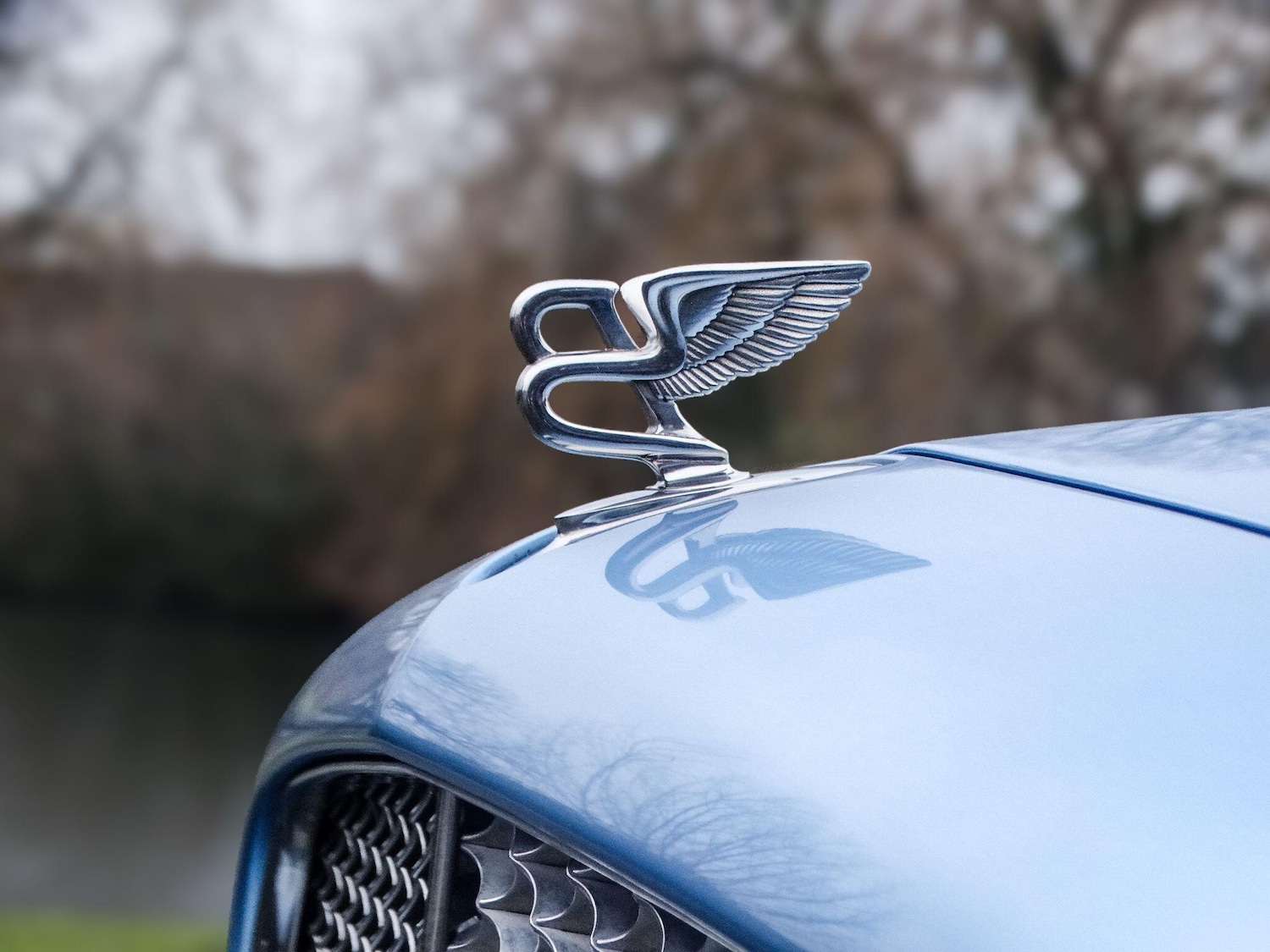 Used Bentley Azure 2009 for sale - 78034566: Photo 8