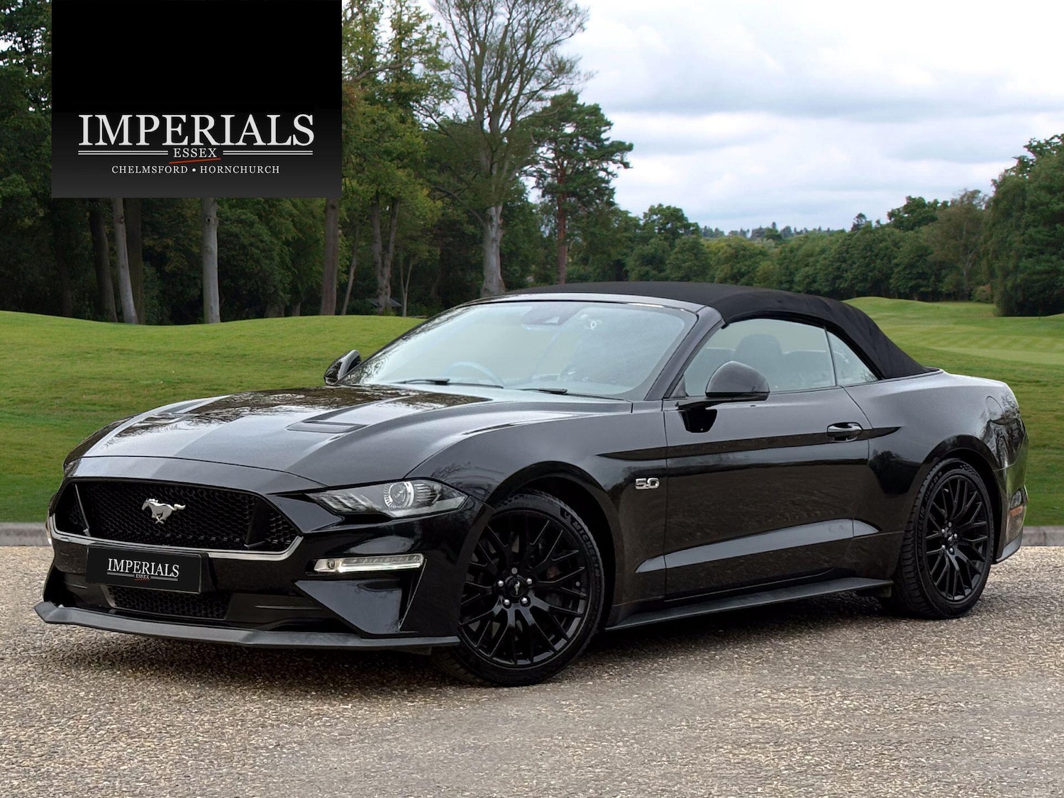 Used Ford Mustang 2019 for sale - 78085952: Photo 21