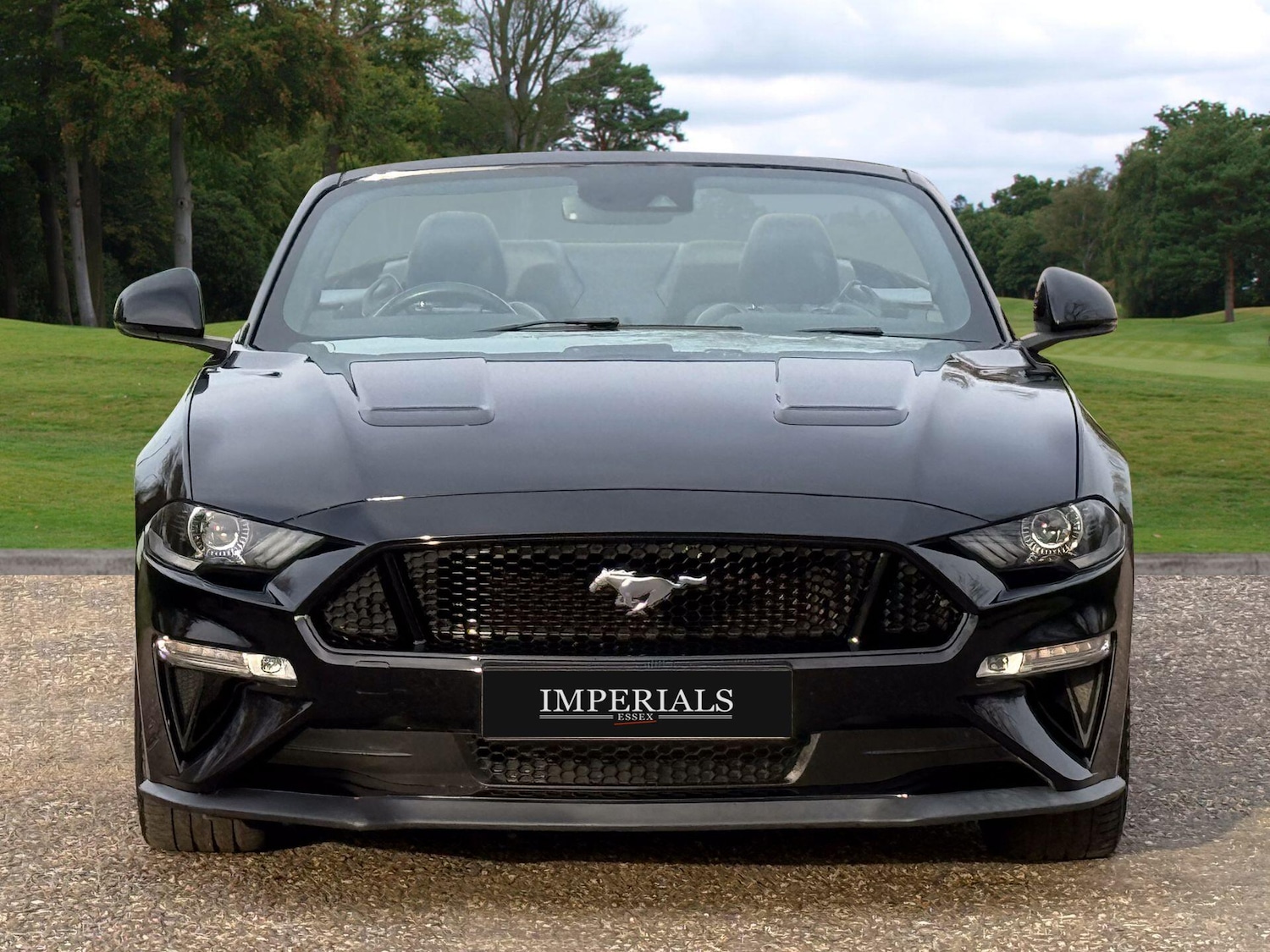 Used Ford Mustang 2019 for sale - 78085952: Photo 9