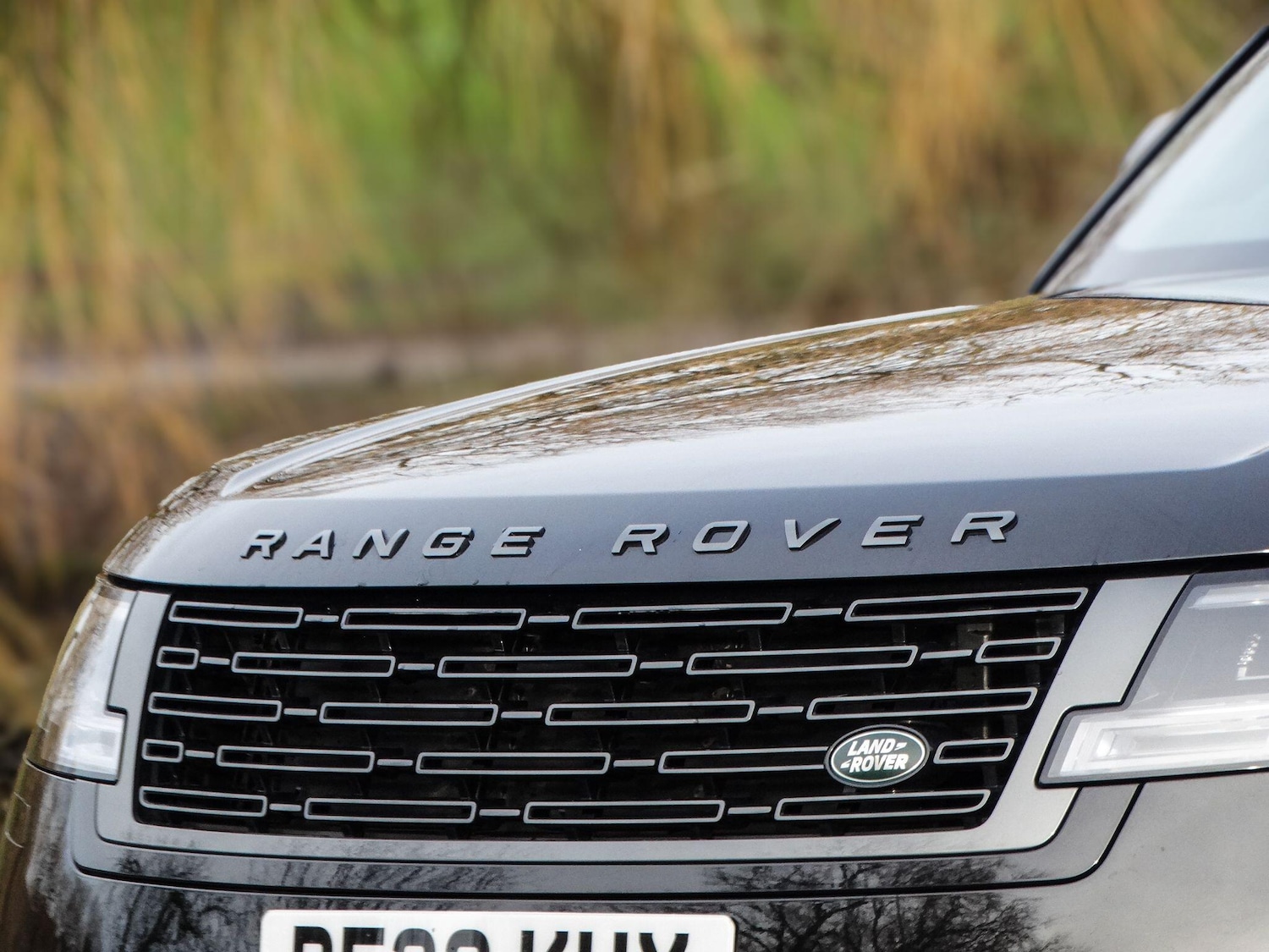 Used Land Rover Range Rover for sale - 78033778: Photo 10