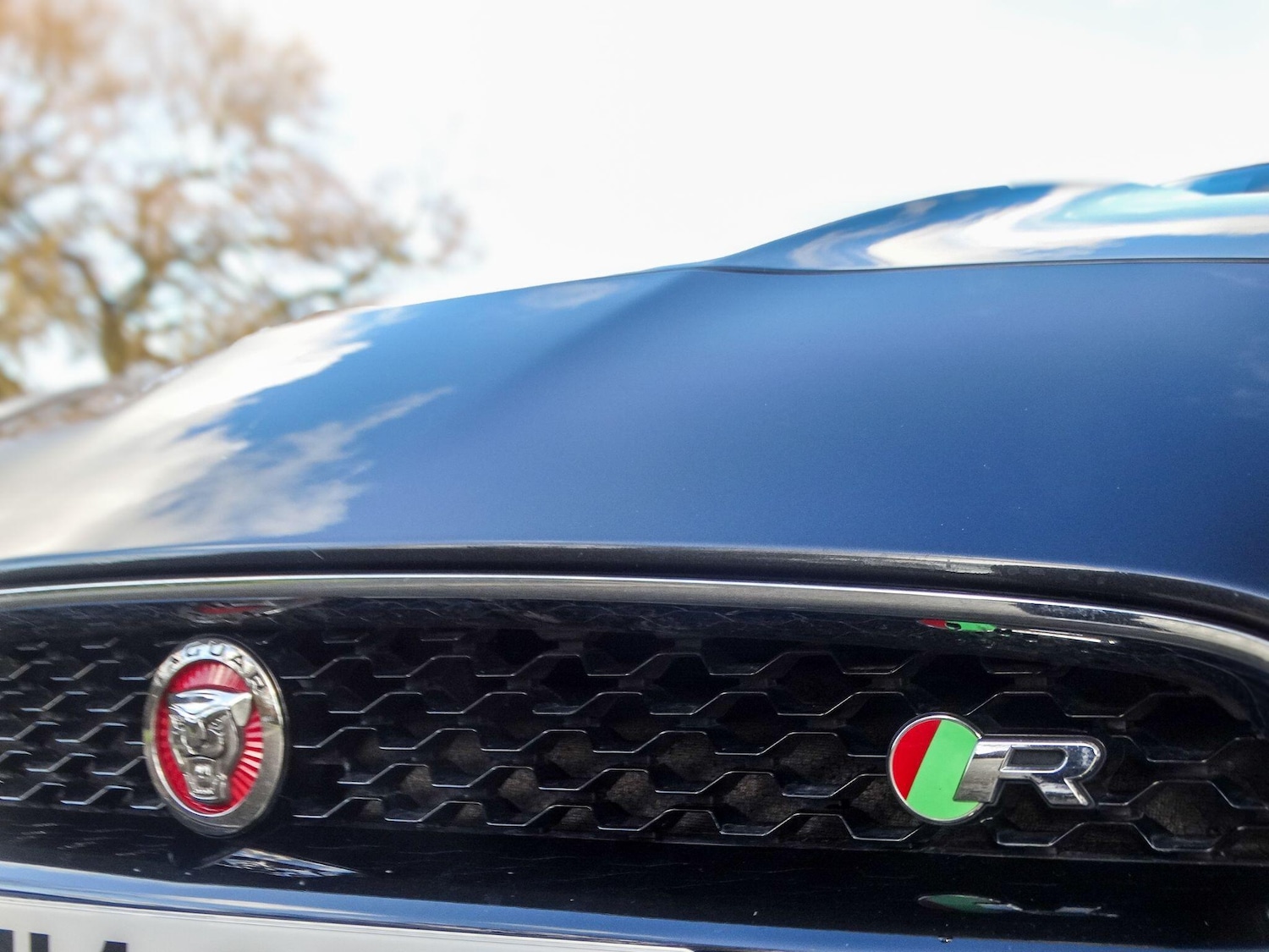 Used Jaguar F-Type 2014 for sale - 78033936: Photo 9