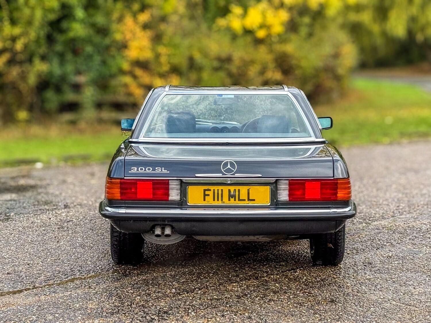 Used Mercedes-Benz 300 for sale - 76073210: Photo 13