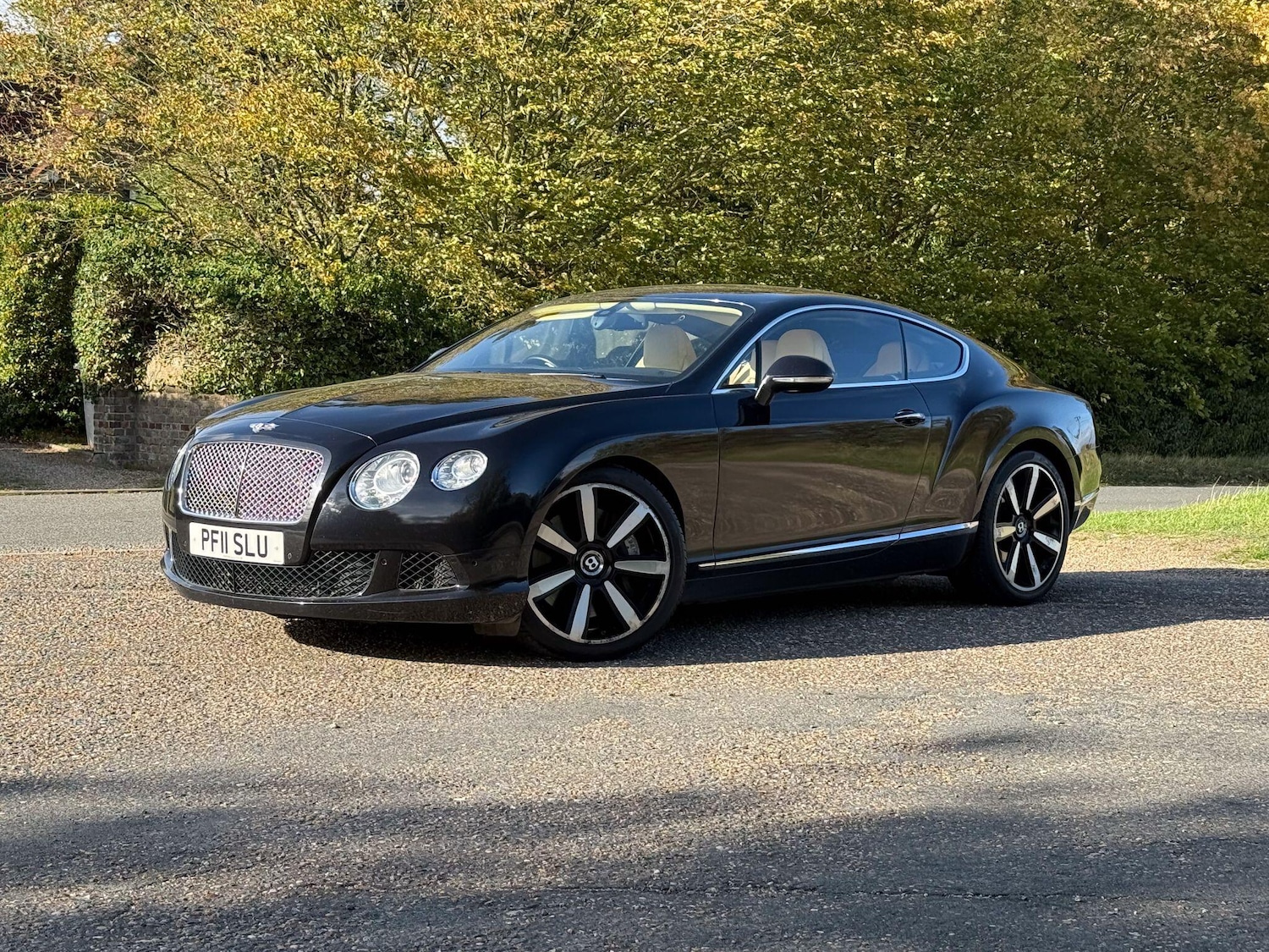 Used Bentley Continental for sale - 76151143: Photo 1