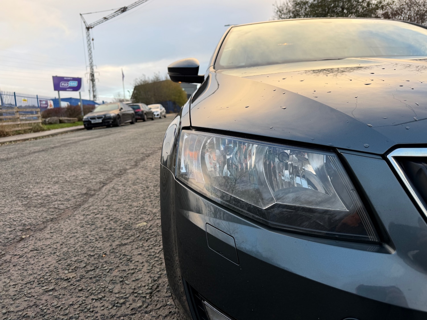 Used Skoda Octavia 2016 for sale - 76684432: Photo 16