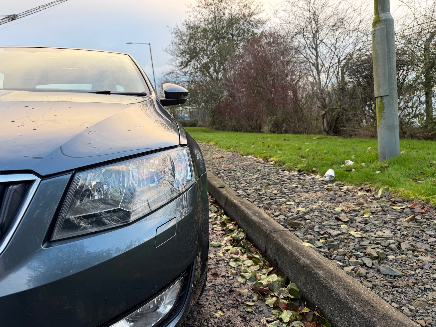 Used Skoda Octavia 2016 for sale - 76684432: Photo 18