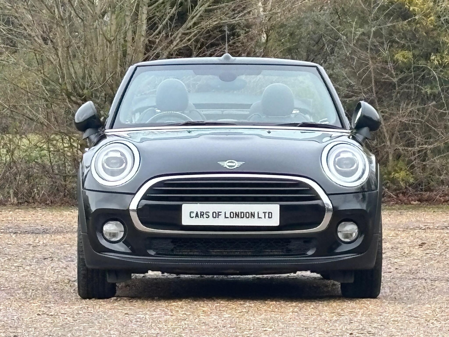 Used MINI Convertible for sale - 77166786: Photo 10