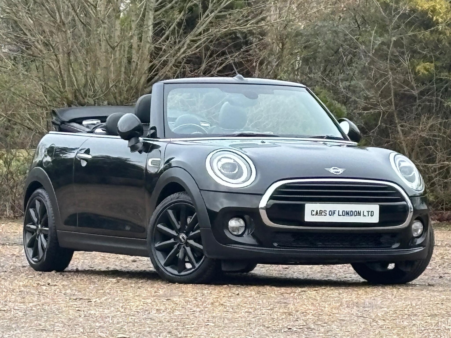 Used MINI Convertible for sale - 77166786: Photo 5