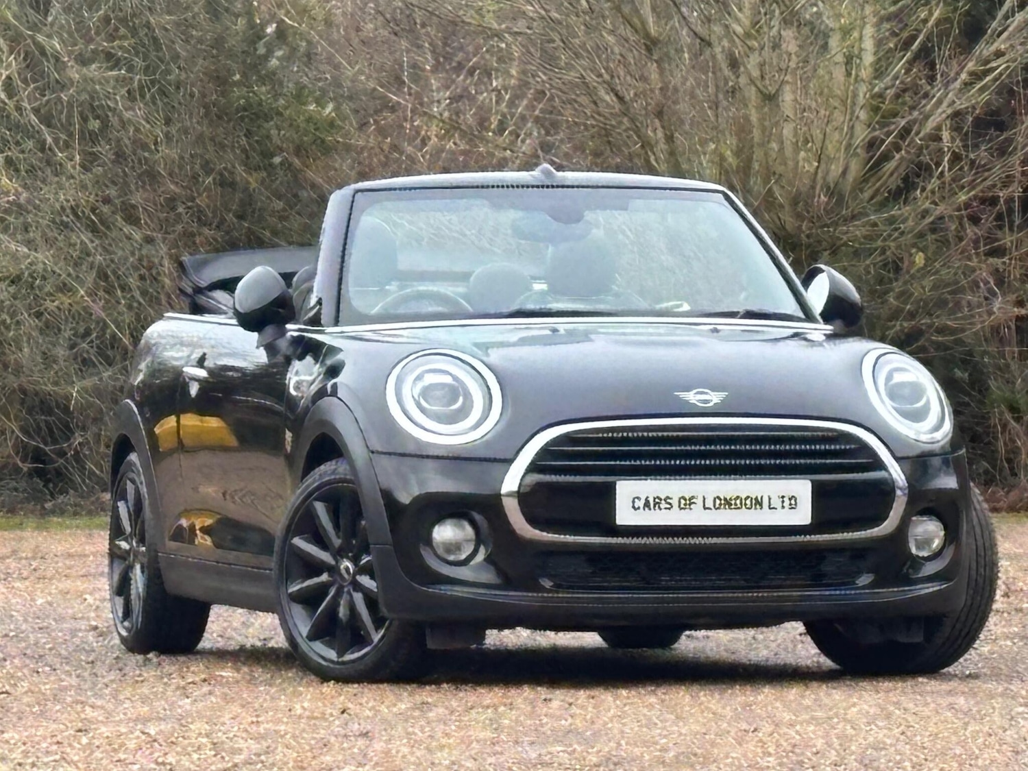 Used MINI Convertible for sale - 77166786: Photo 6
