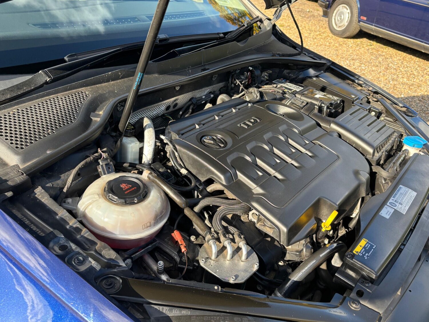 Used Volkswagen Golf 2019 for sale - 77075331: Photo 23