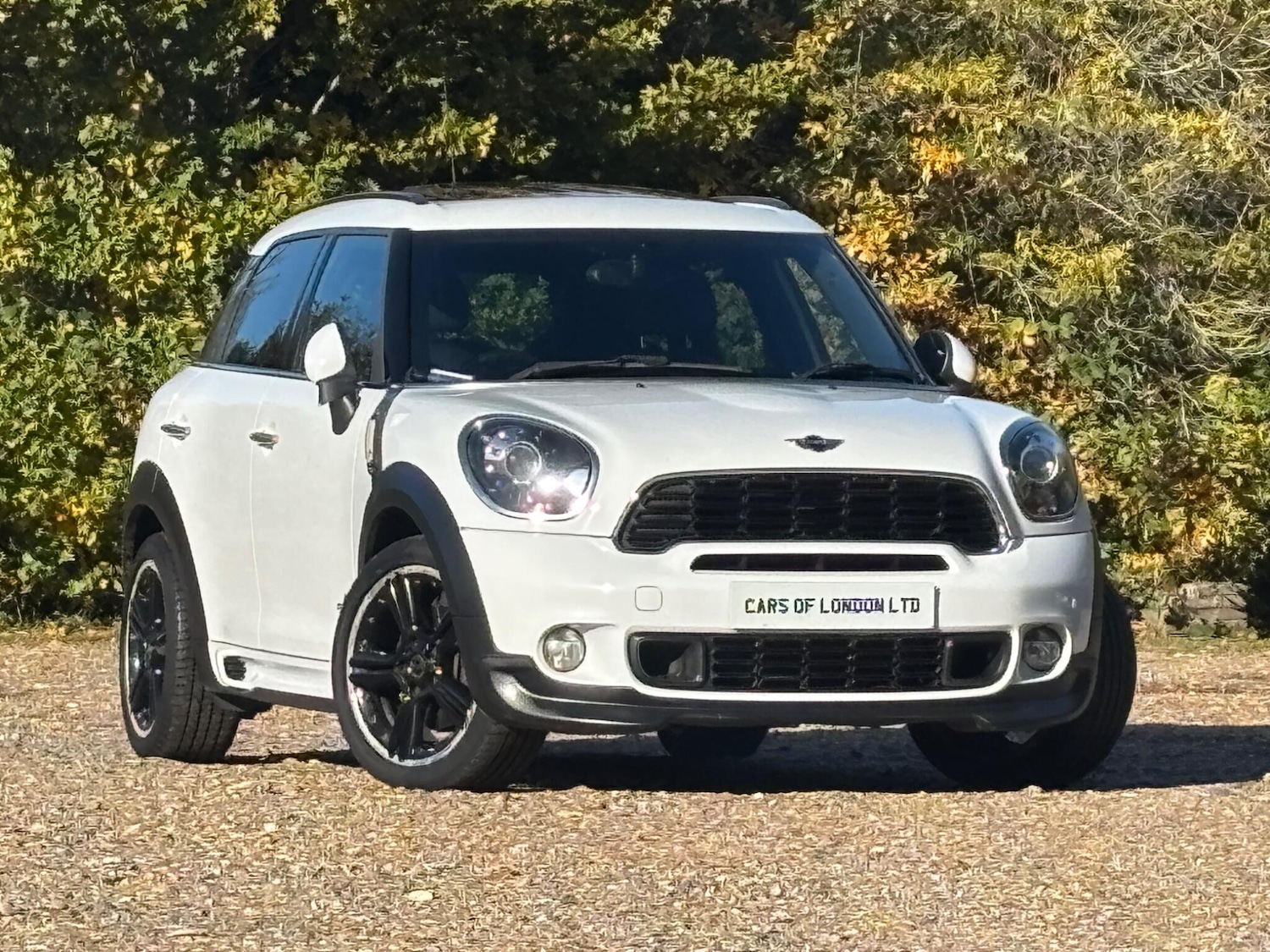 Used MINI Countryman 2013 for sale - 77040376: Photo 6