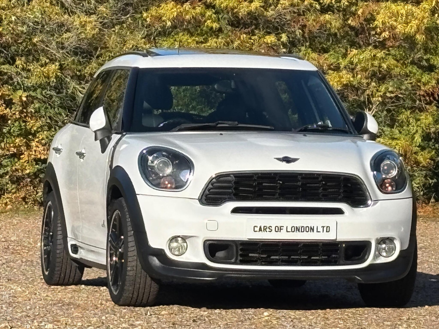 Used MINI Countryman 2013 for sale - 77040376: Photo 8
