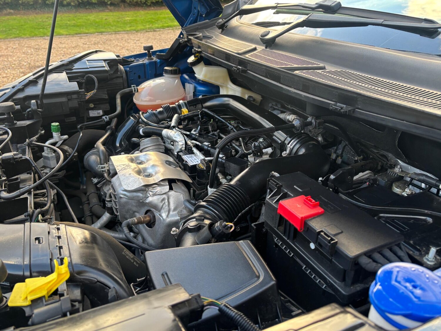 Used Ford Ecosport for sale - 77075322: Photo 37