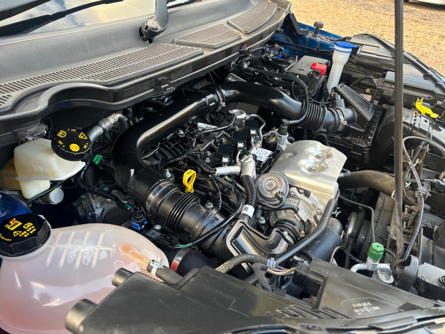 Used Ford Ecosport for sale - 77075322: Photo 39