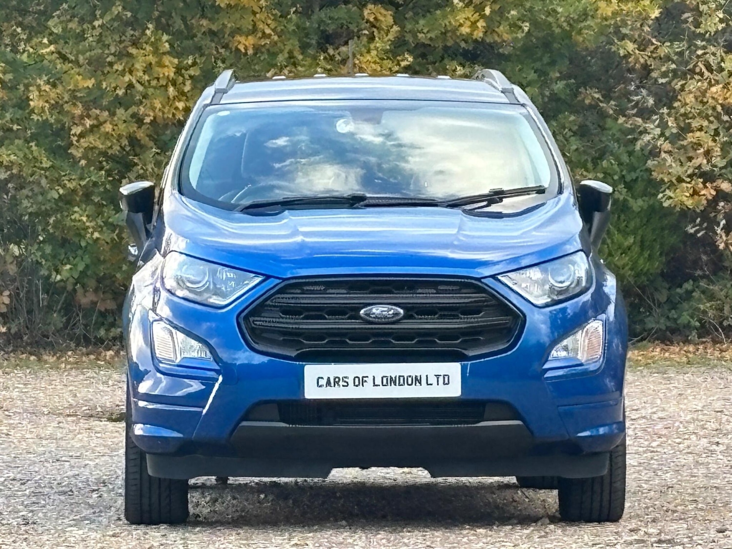 Used Ford Ecosport for sale - 77075322: Photo 4