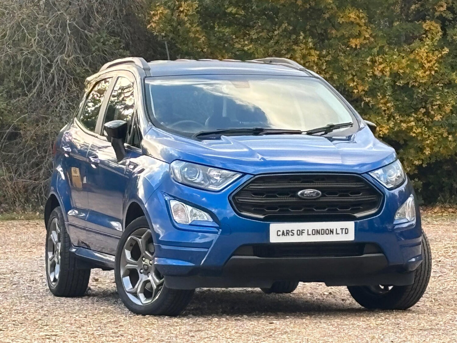 Used Ford Ecosport for sale - 77075322: Photo 6