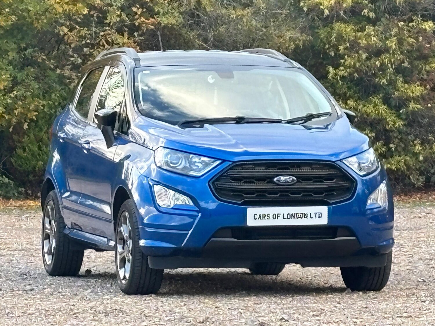 Used Ford Ecosport for sale - 77075322: Photo 8