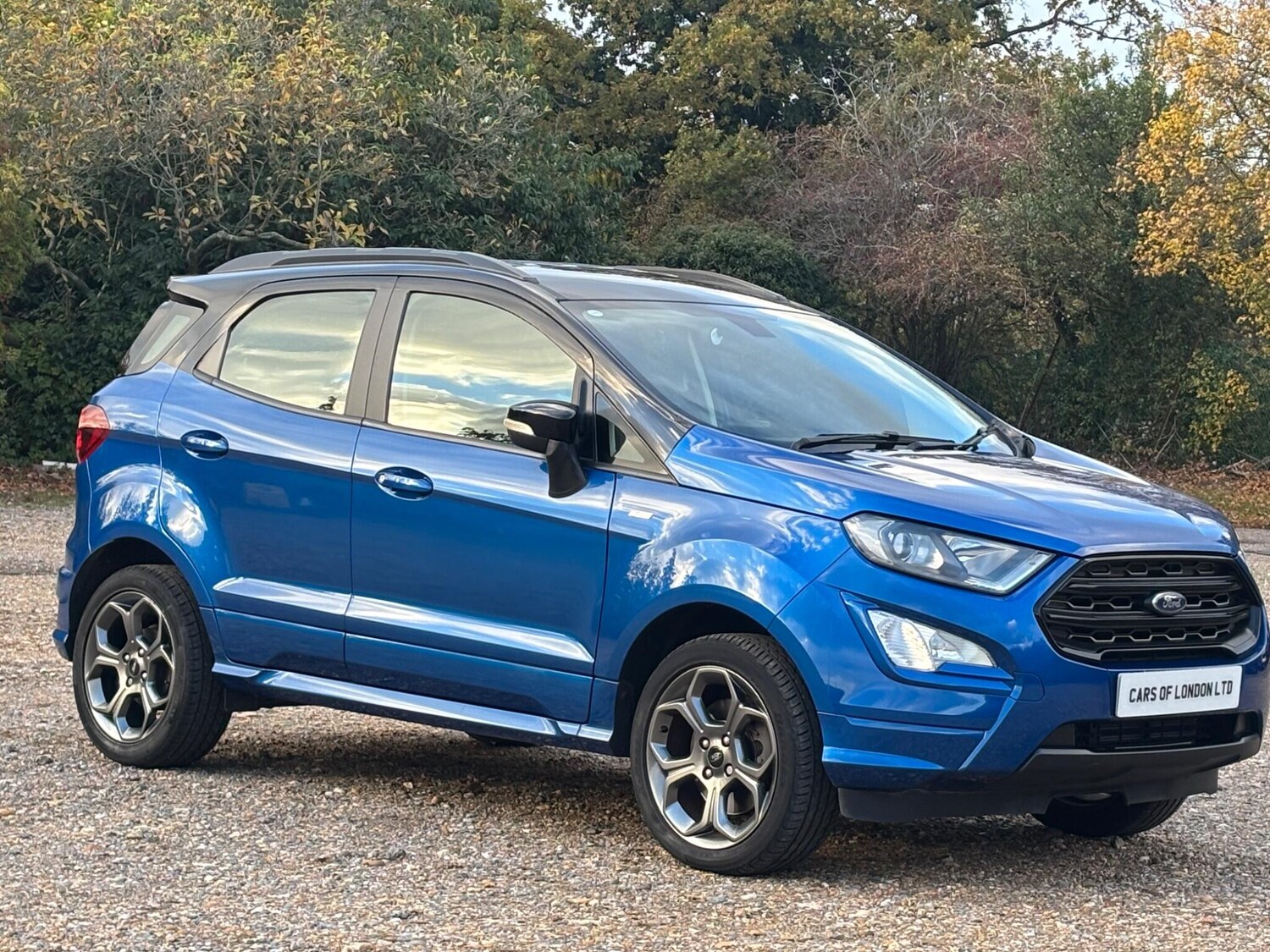 Used Ford Ecosport for sale - 77075322: Photo 9