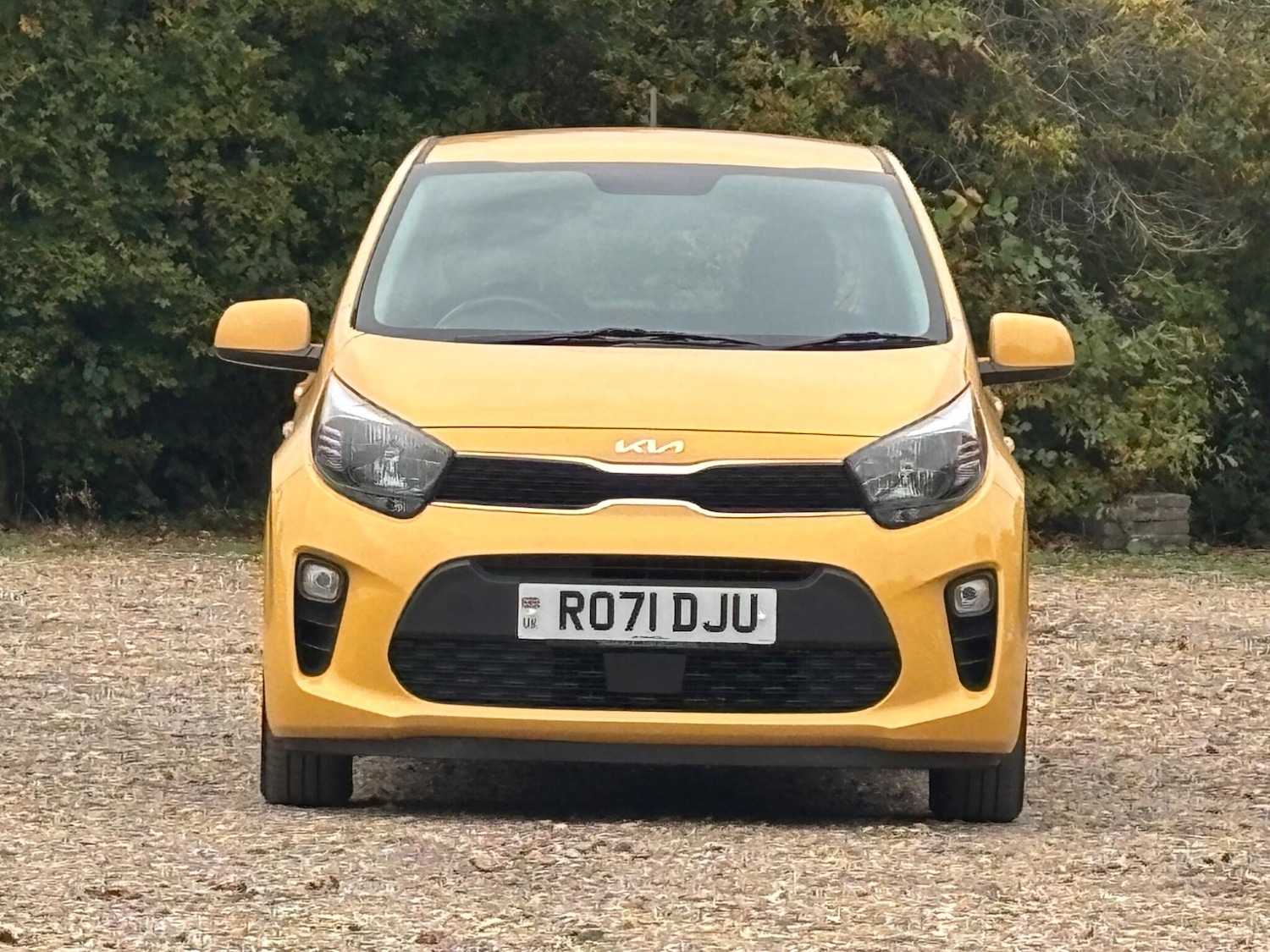 Used Kia Picanto 2021 for sale - 77075323: Photo 2