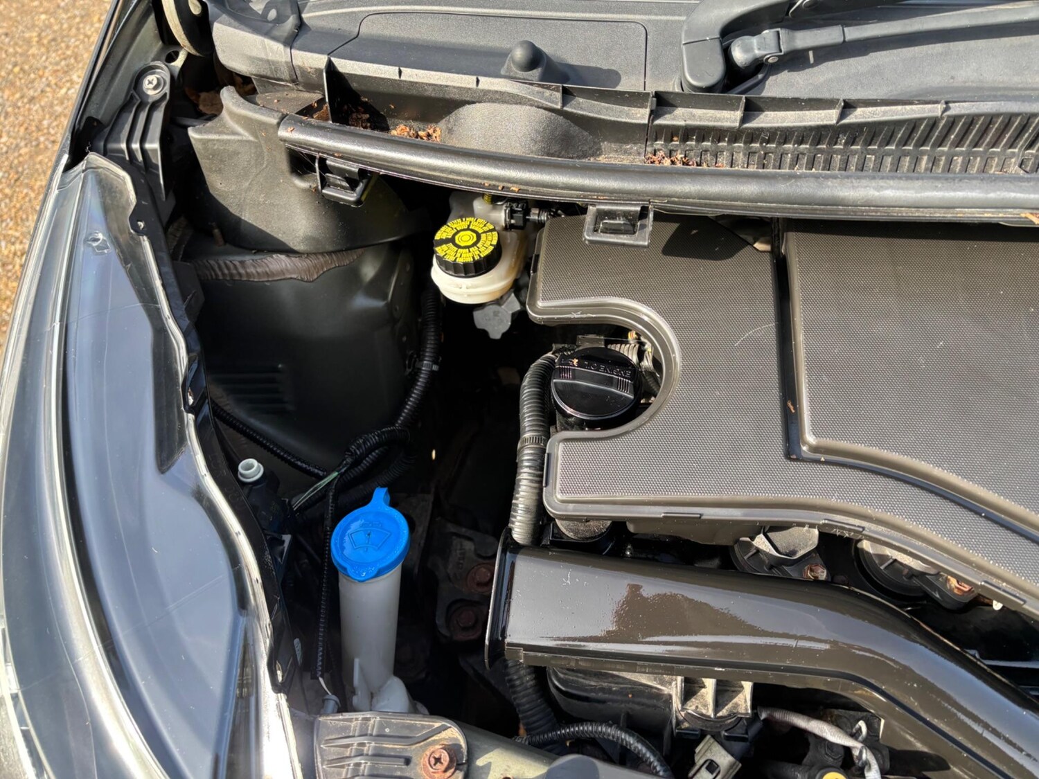 Used Toyota AYGO 2018 for sale - 77075330: Photo 30