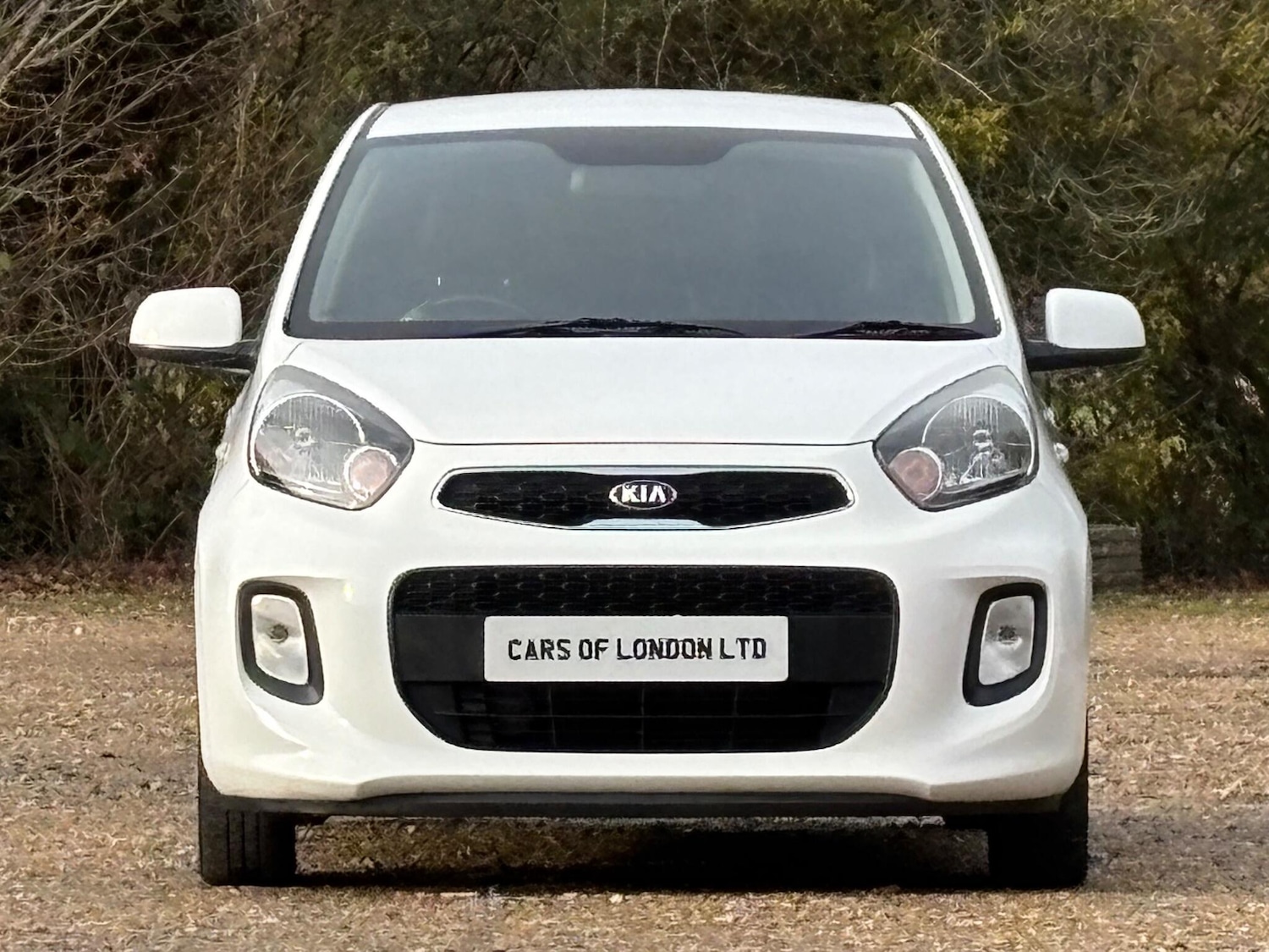 Used Kia Picanto 2015 for sale - 77081791: Photo 3