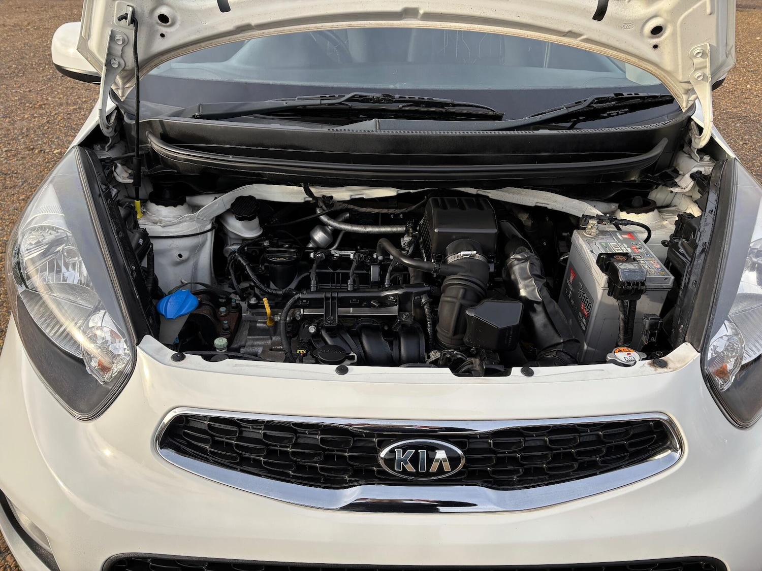 Used Kia Picanto 2015 for sale - 77081791: Photo 42