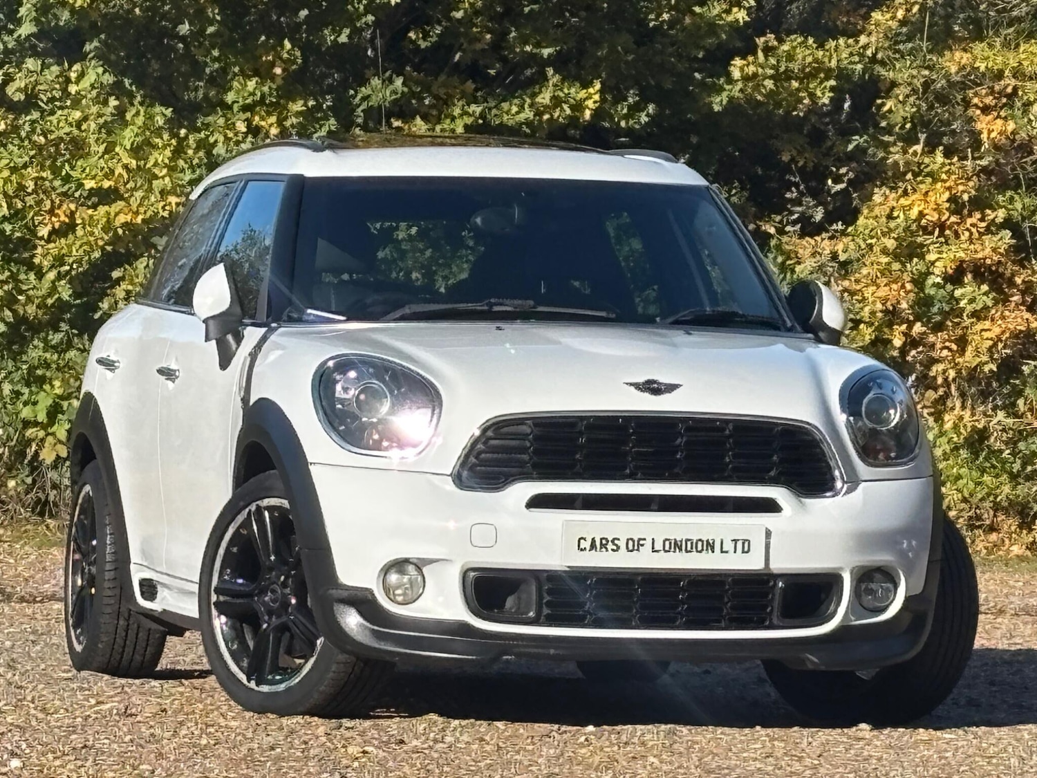 Used MINI Countryman 2013 for sale - 77075327: Photo 1
