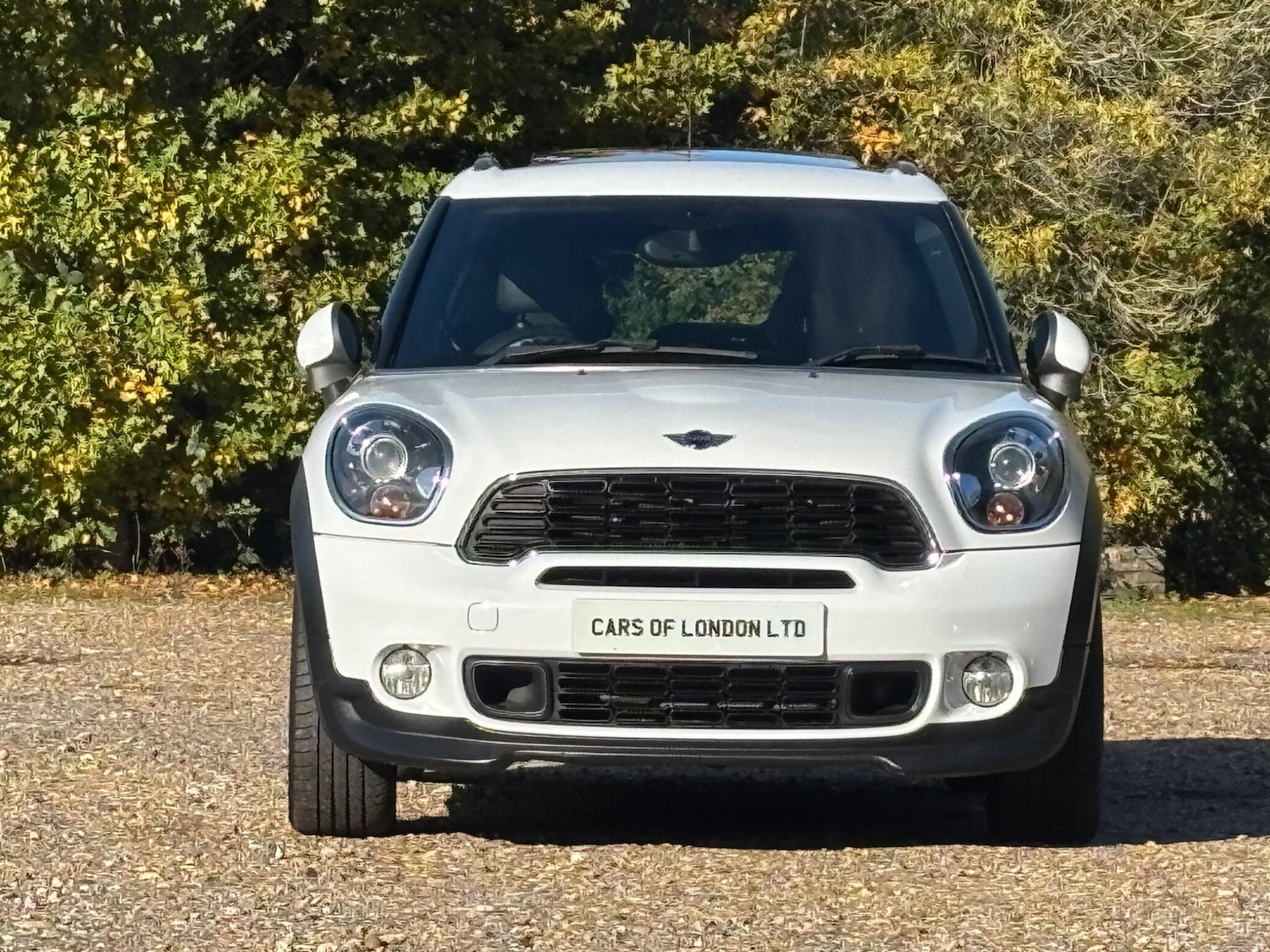 Used MINI Countryman 2013 for sale - 77075327: Photo 10