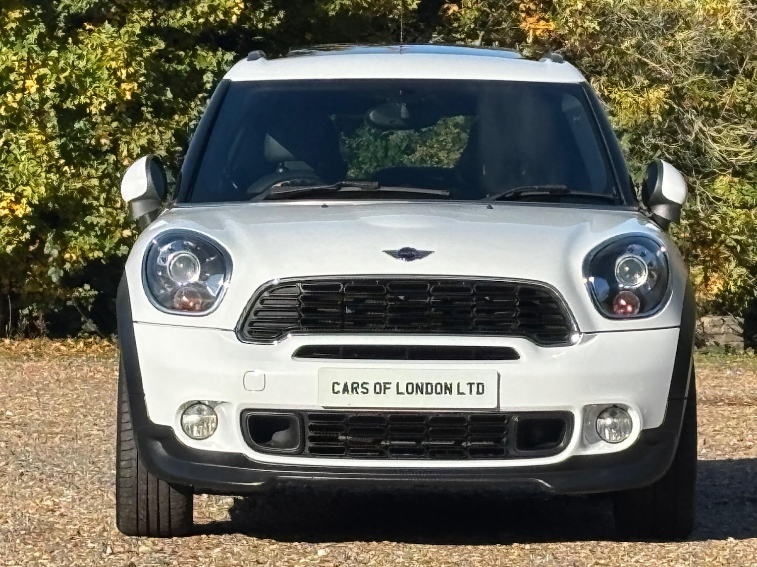 Used MINI Countryman 2013 for sale - 77075327: Photo 2