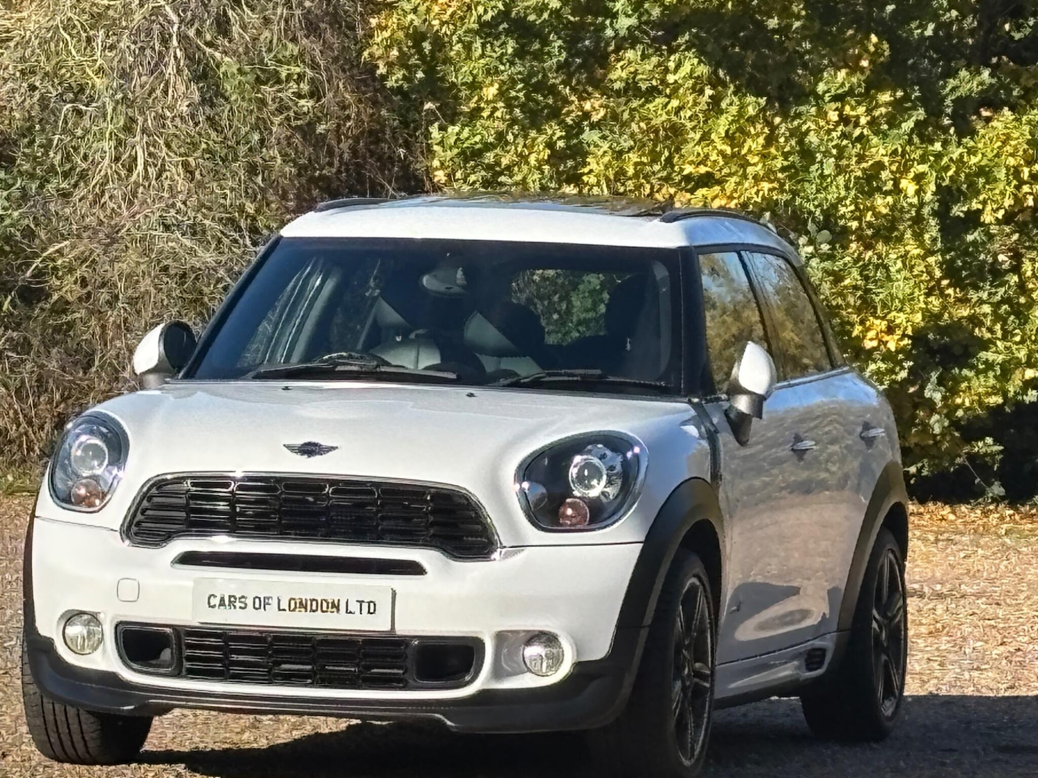 Used MINI Countryman 2013 for sale - 77075327: Photo 3