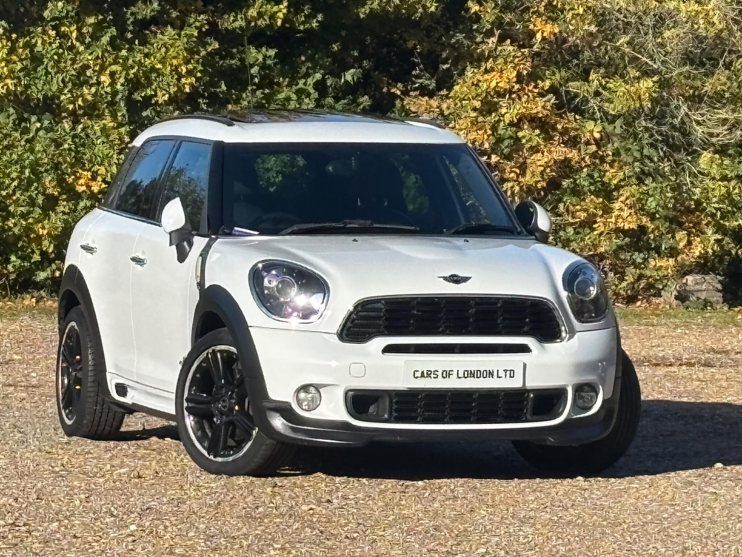 Used MINI Countryman 2013 for sale - 77075327: Photo 7