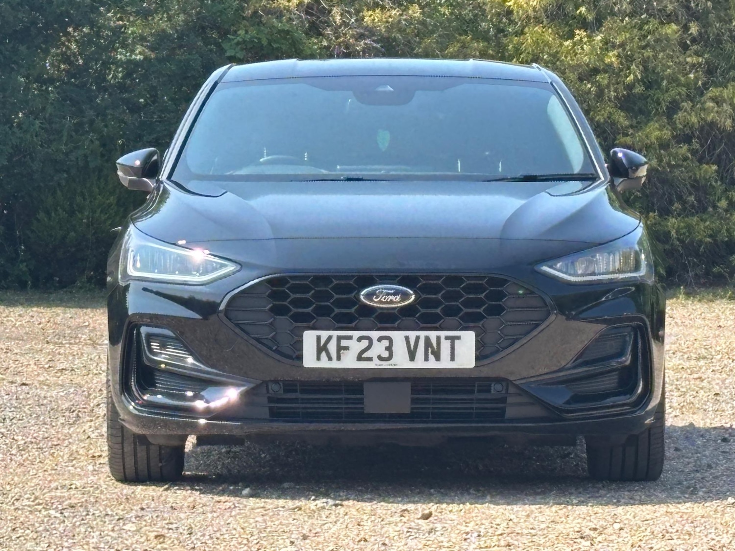 Used Ford Focus 2023 for sale - 77097737: Photo 2