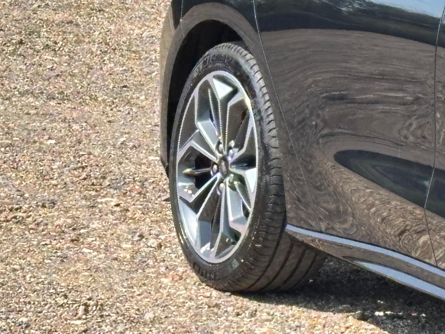 Used Ford Focus 2023 for sale - 77097737: Photo 21