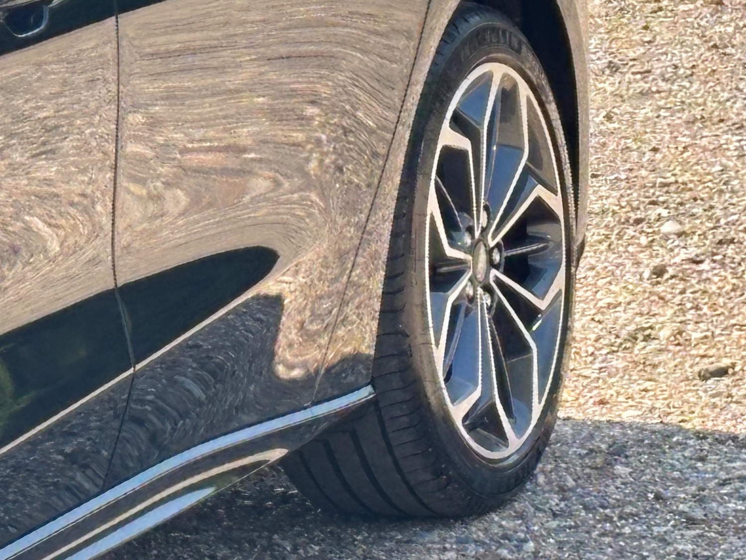 Used Ford Focus 2023 for sale - 77097737: Photo 22