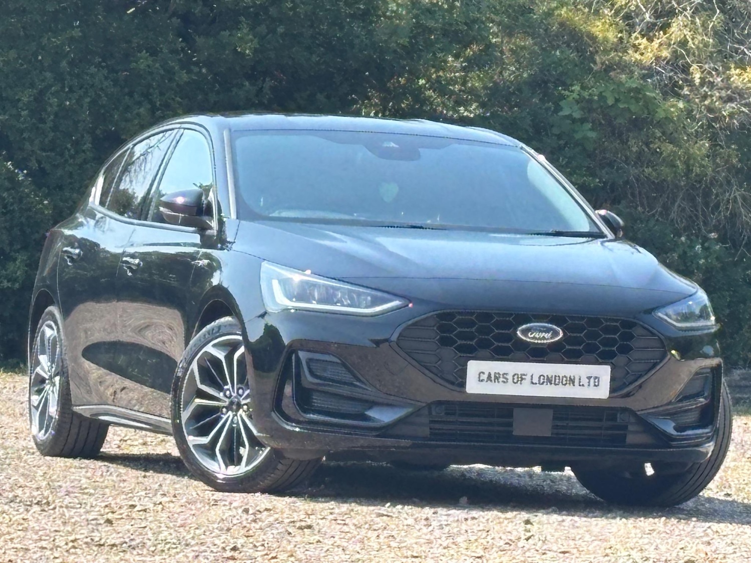 Used Ford Focus 2023 for sale - 77097737: Photo 5