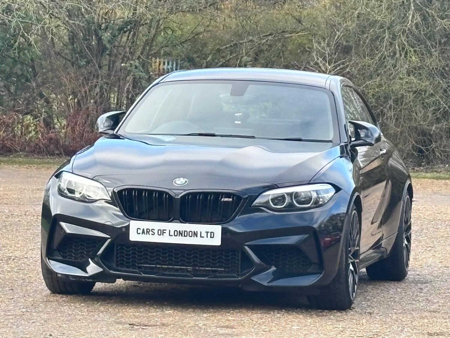 Used BMW M2 2020 for sale - 77441111: Photo 13