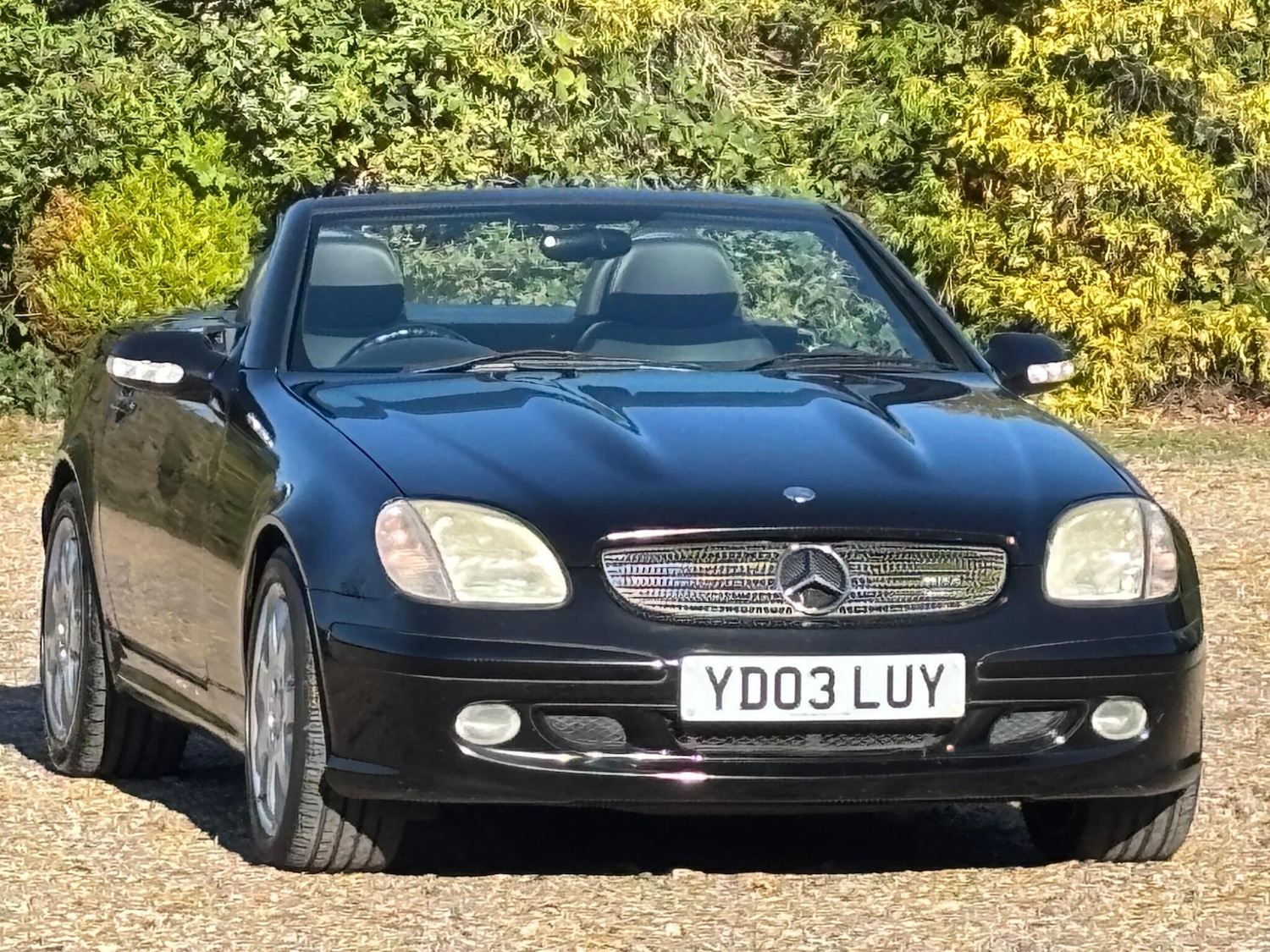 Used Mercedes-Benz SLK 2003 for sale - 77075320: Photo 68