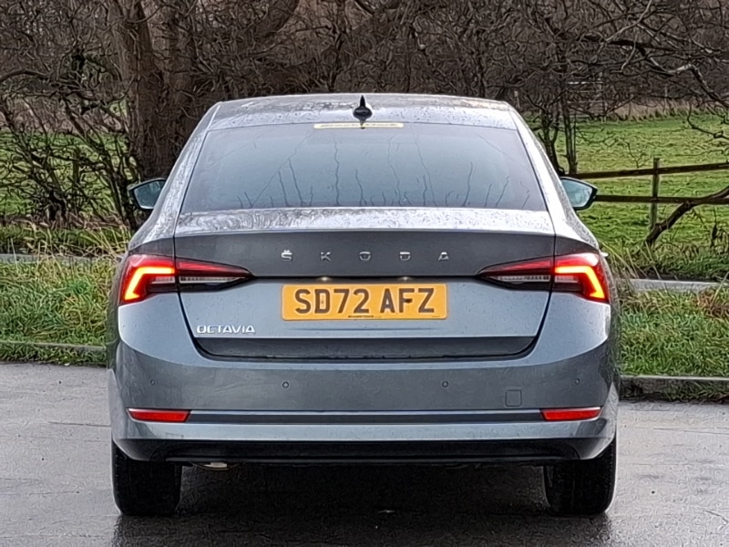 Used Skoda Octavia 2022 for sale - 76893561: Photo 16
