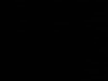 Used Ford Transit Connect 2023 for sale - 77822959: Photo