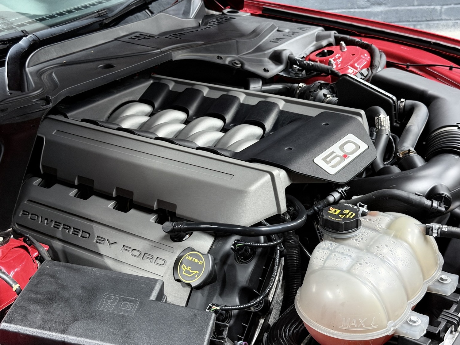 Used Ford Mustang 2018 for sale - 78053323: Photo 22