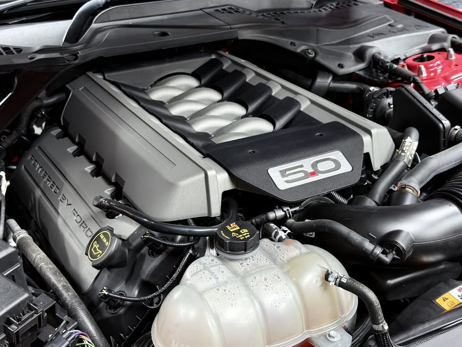 Used Ford Mustang 2018 for sale - 78053323: Photo 23