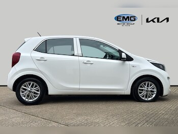 Used Kia Picanto 2023 for sale - 77815235: Photo