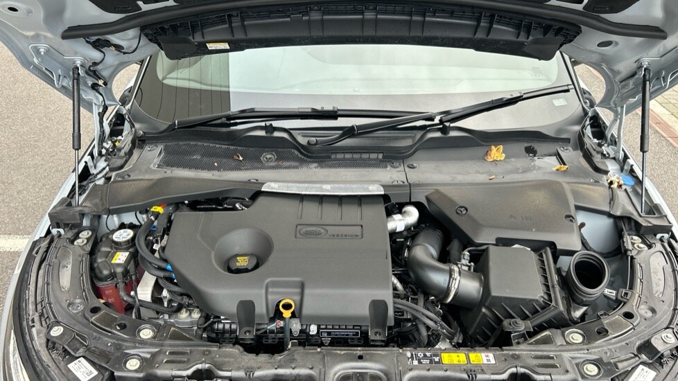 Used Land Rover Range Rover Evoque 2025 for sale - 76556900: Photo 30