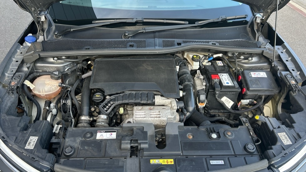 Used Citroen C4 2022 for sale - 76948300: Photo 16