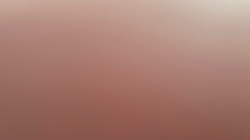 Used Renault Captur 2022 for sale - 76871188: Photo 21