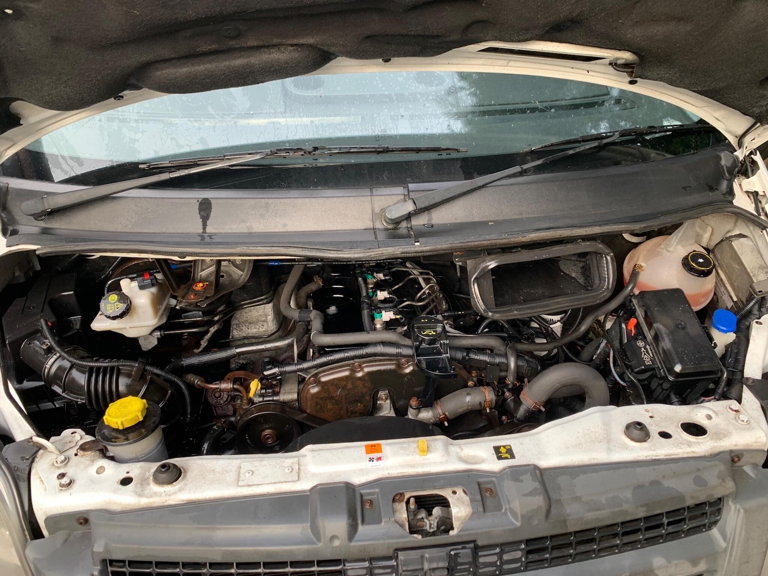 Used Ford Transit for sale - 76926542: Photo 12