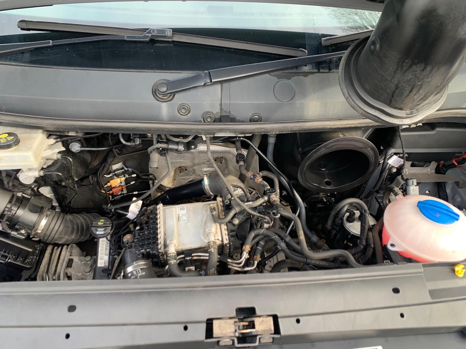 Used Volkswagen Crafter for sale - 77625355: Photo 19