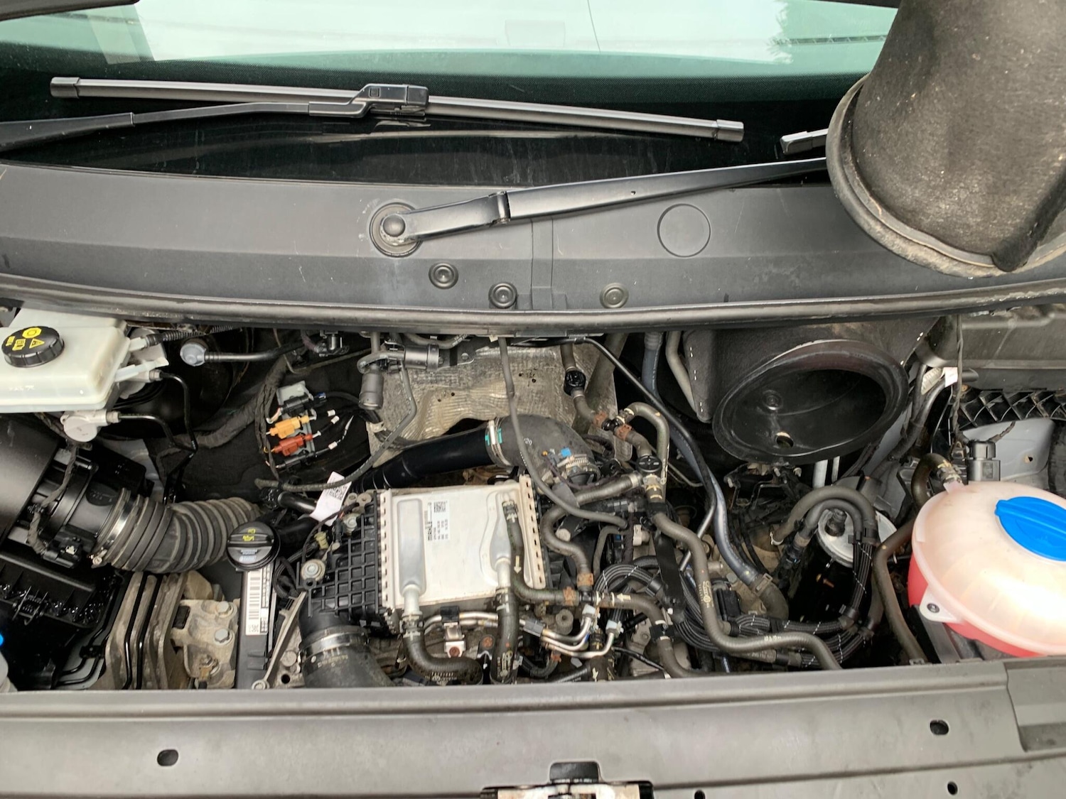 Used Volkswagen Crafter 2020 for sale - 76306712: Photo 18