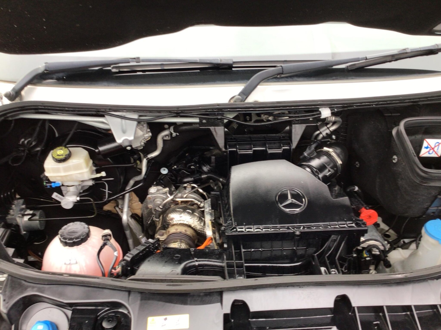 Used Mercedes-Benz Sprinter 2023 for sale - 77479373: Photo 17