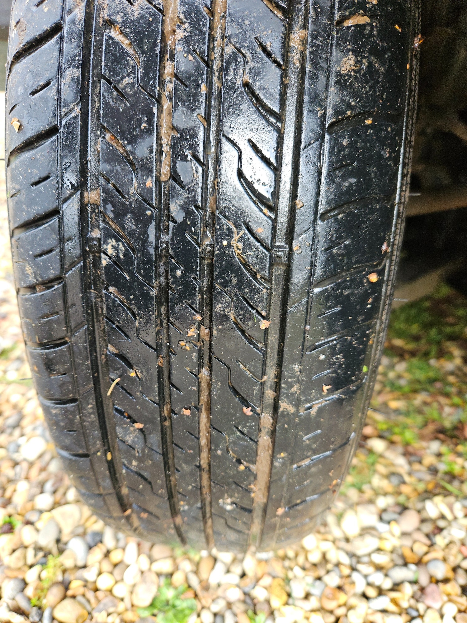 Used Fiat Panda 2014 for sale - 77675750: Photo 25